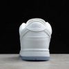 Nike SB Dunk Low White Ice White/Light Base Grey For Sale 304292-100-4