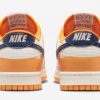 New Nike Dunk Low Wear and Tear FN3418-100-3