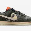 Nike Dunk Low Rainbow Trout For Sale FN7523-300-1